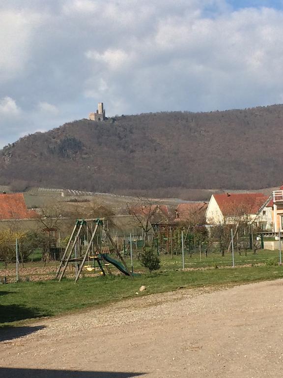 Vignobles Frey-Sohler Lägenhet Scherwiller Exteriör bild